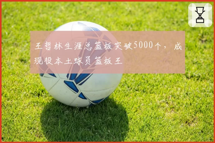 王哲林生涯总篮板突破5000个,成现役本土球员篮板王