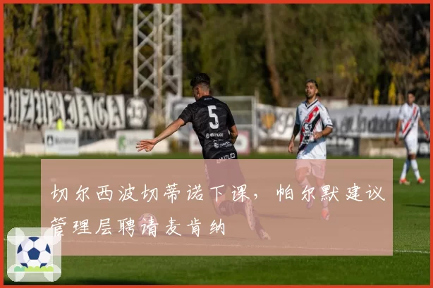 切尔西波切蒂诺下课，帕尔默建议管理层聘请麦肯纳