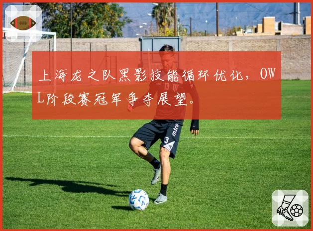 上海龙之队黑影技能循环优化，OWL阶段赛冠军争夺展望。